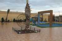 Al Rayan Farm
