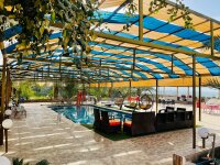 Mohammedâ€™s Farms